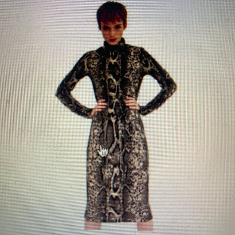 Zara Multicolor Snakeskin Print Knit Work/Office